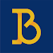 BBO – Bridge Base Online APK icon