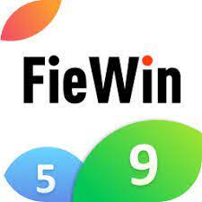Fiewin 1.0.0.1 APK icon
